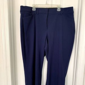 Lane Bryant Blue Size 18 Short Pants